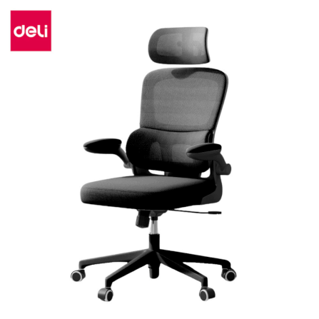 เก้าอี้สำนักงานเพื่อสุขภาพ DELI KF249-BK-01 สีดำ_0